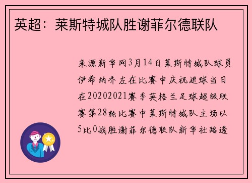 英超：莱斯特城队胜谢菲尔德联队